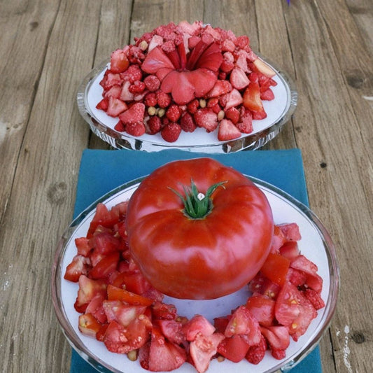 Abe Lincoln Tomato Seeds – Lycopersicon esculentum | Approx. 30 Seeds | Heirloom Open Pollinated Tomato | Deep Red Slicing Tomato | Indeterminate Variety