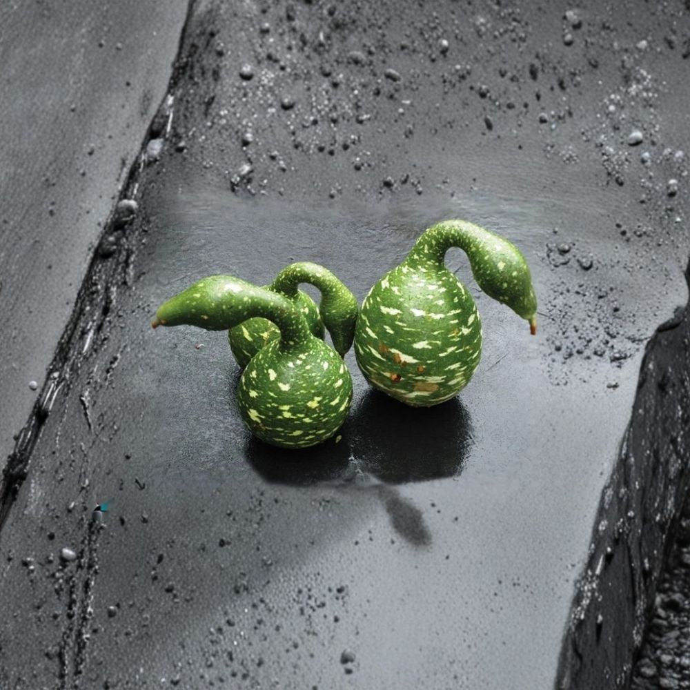 Speckled Swan Gourd Seeds – Lagenaria siceraria | Approx. 30 Seeds | Ornamental Swan Neck Gourd | Decorative Craft Gourd Vine