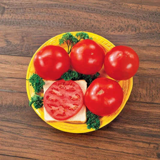 Fantastic Hybrid Tomato Seeds – Lycopersicon esculentum | Hybrid Tomato Variety | 20 Seeds | Large Red Garden Tomato | High Yielding Summer Crop