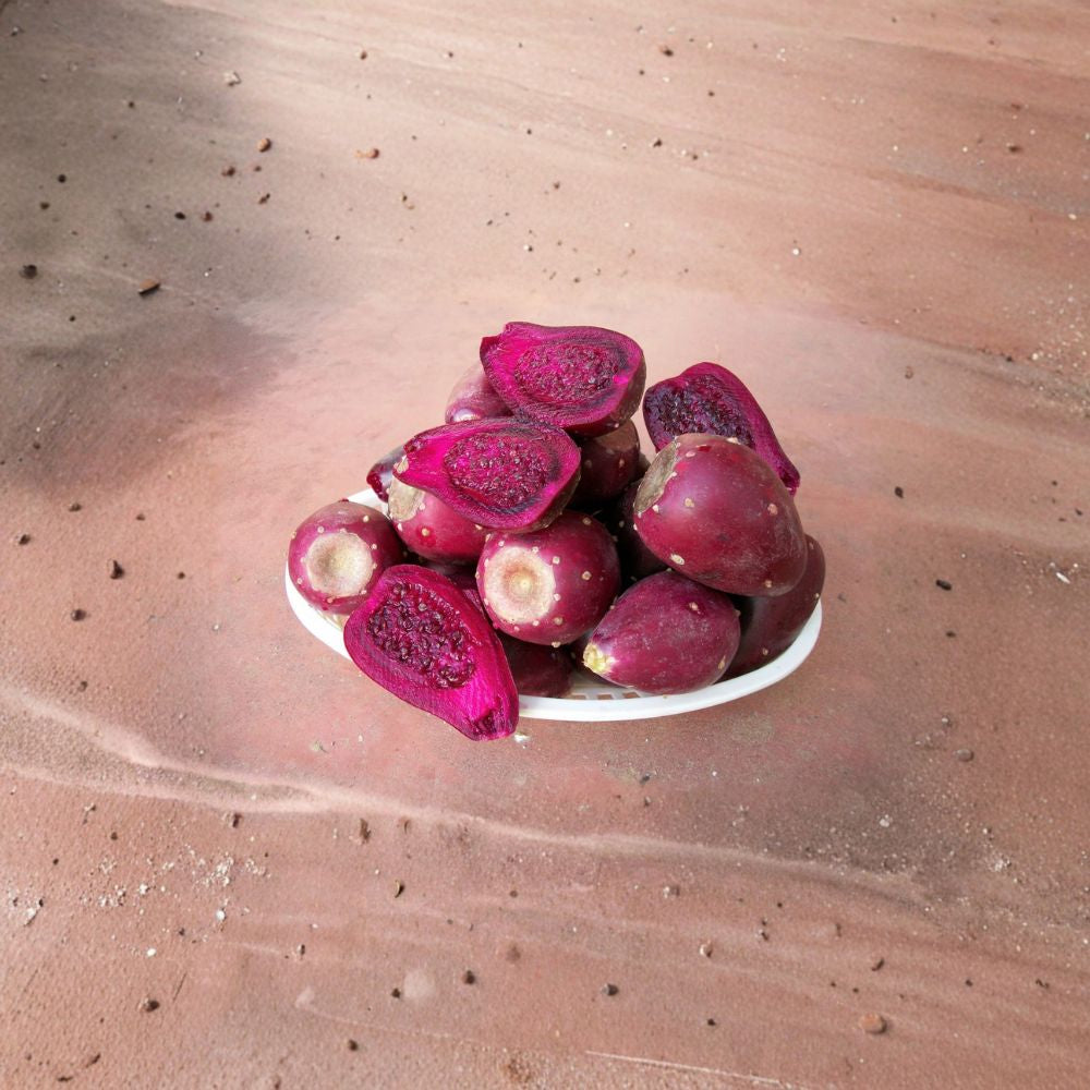 Cold Hardy Prickly Pear – Opuntia engelmannii Cactus Seeds | 20 Count | Edible Nopal & Fruit  Southwest Native | Sweet Fruit | Drought Tolerant