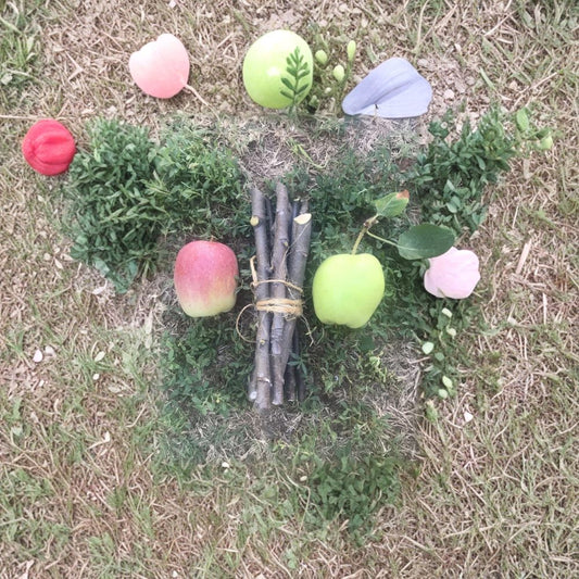 Apple Tree Cuttings – 5 Fresh Organic Scions | Unrooted Apple Branches for Grafting or Rooting | Fruit Tree Propagation