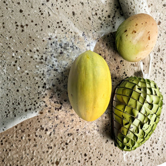 Mango Melon Seeds – Cucumis melo 10 Seeds | Fresh Harvest | Non-GMO  Sweet 5 lb Melon | Cold Hardy Variety | Northern Garden Favorite