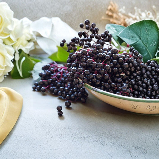 American Elderberry Cuttings – 10 Pack (6–10 Inches) | Sambucus canadensis | Bob Gordon, Adams & Ranch Varieties | Organic Orchard Grown