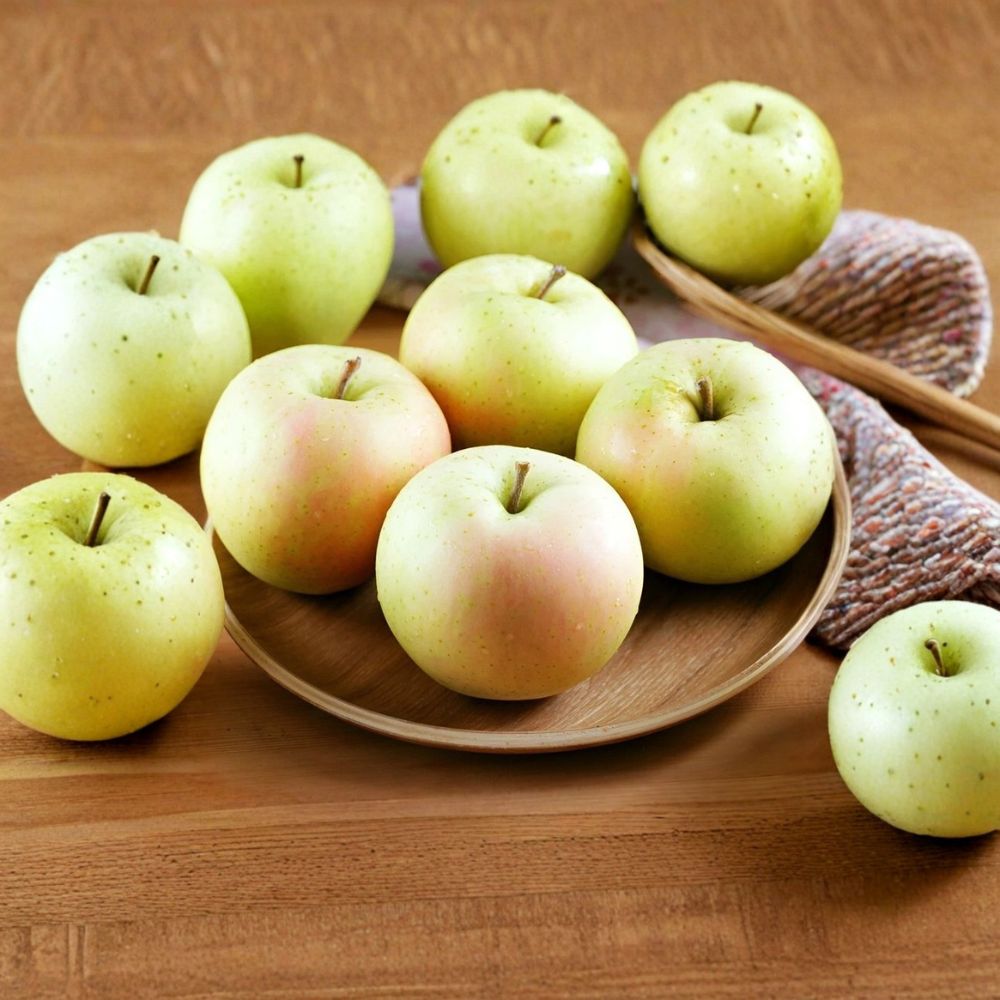 Japanese Toki Apple Tree – Bare Root Live Plant | Aomori Peach-Flavor Apple | M7 Rootstock | Rare Sweet Orchard Tree