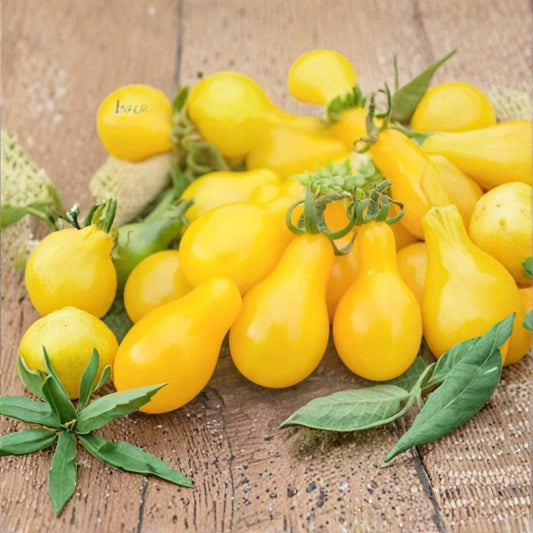 Yellow Pear Cherry Tomato Seeds – Heirloom NON-GMO 100+ Seeds | Indeterminate | Garden Vegetable  Mild Flavor | High Yield | Summer–Fall Harvest