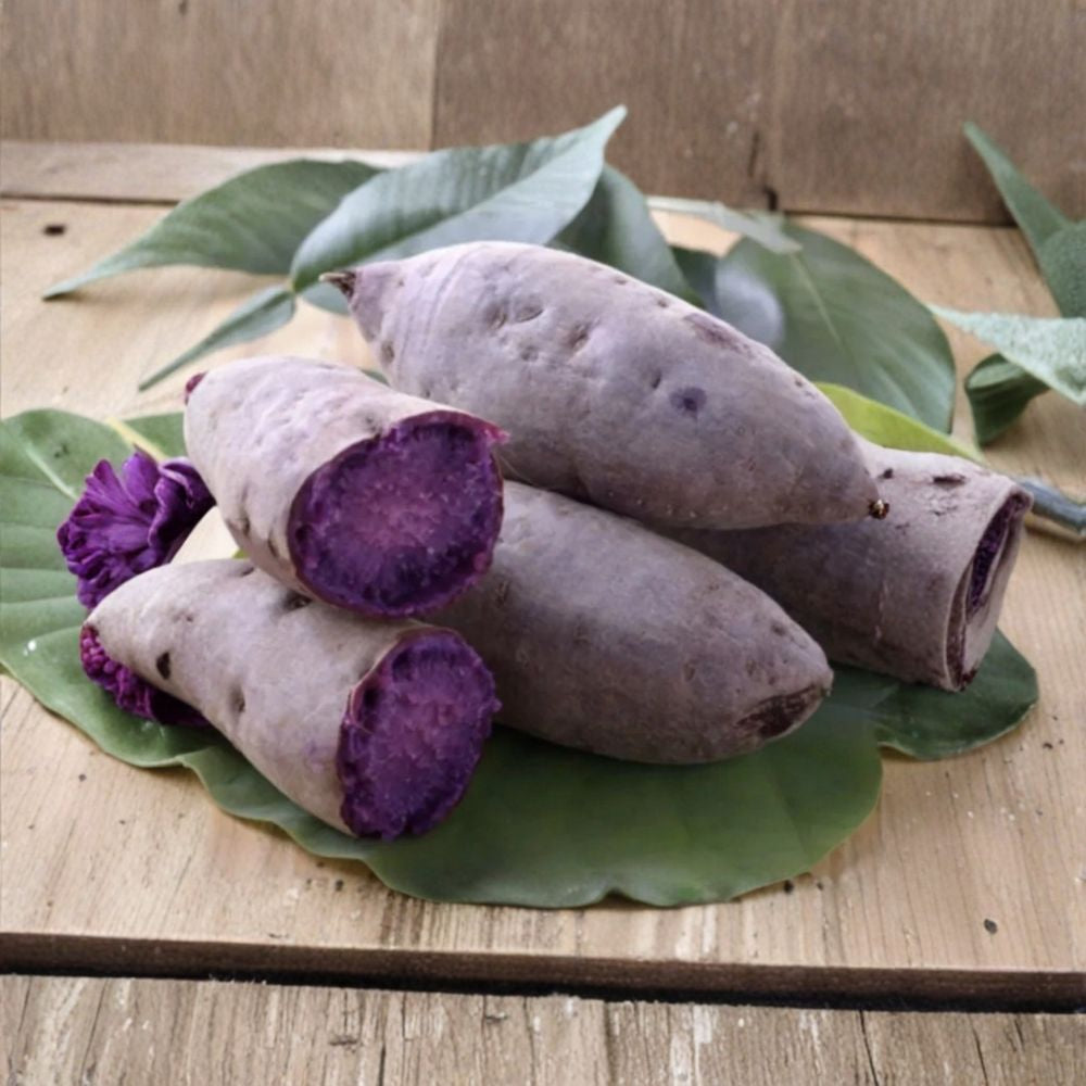 Purple Sweet Potato Slips – 10 Rooted Cuttings | Ipomoea batatas | Khoai Lang Tím | Edible Garden Starter Plants