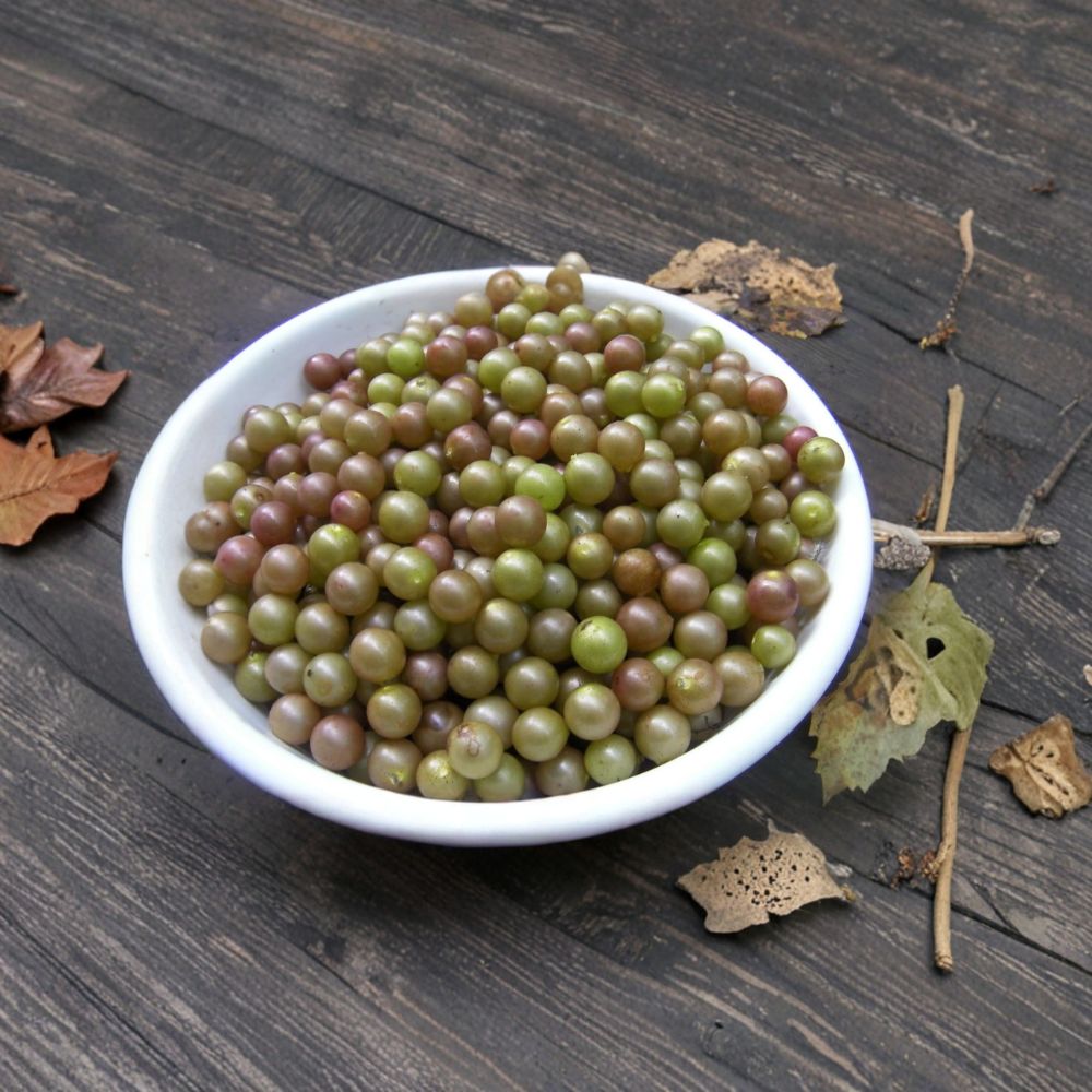 Muscadine Grape Cuttings – 20 Unrooted Stems (10 Black Noble + 10 Bronze Carlos) | Organic Vitis rotundifolia | Hardy Fruit Vine Starter