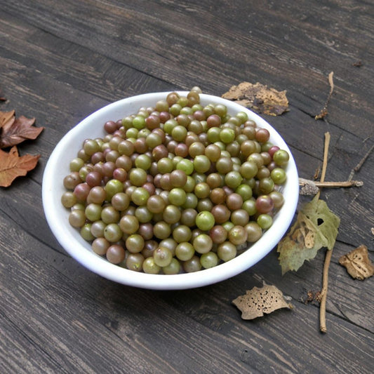 Muscadine Grape Cuttings – 20 Unrooted Stems (10 Black Noble + 10 Bronze Carlos) | Organic Vitis rotundifolia | Hardy Fruit Vine Starter