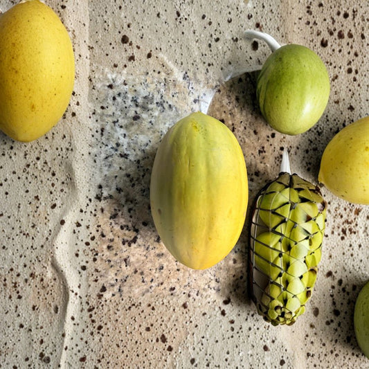 Mango Melon – Cucumis melo 10 Fresh Seeds | Heirloom NON-GMO | Combined Shipping  5 lb Sweet Melon | Northern Climate Friendly | Homegrown Favorite