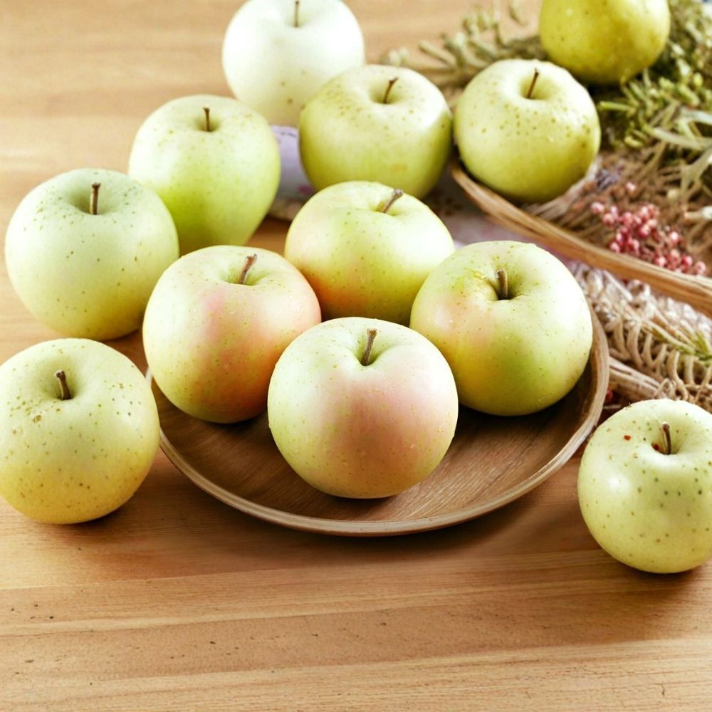 Japanese Toki Apple Tree – Bare Root Live Plant | Aomori Peach-Flavor Apple | M7 Rootstock | Rare Sweet Orchard Tree