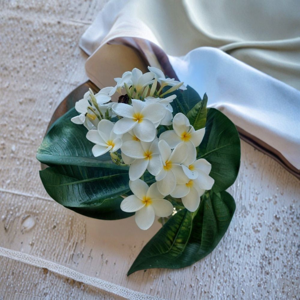 White Plumeria Cutting – 8 Inch Hawaiian Frangipani Top Cut | Tropical Flower Plant | Fresh Unrooted Cutting | Easy to Grow