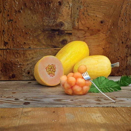 Mango Vine Fruit Seeds – Heirloom Variety 50 Seeds | Made in USA | Ships from Iowa  80 Day Maturity | Sweet & Tasty | Easy to Grow