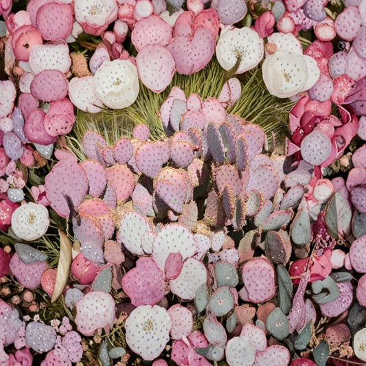 Durazilla Purple Prickly Pear – Opuntia gosseliniana ‘Durazilla’ 1 Live Pad Cutting | Rare Purple Variety | Ready to Root  Cold Hardy | Deep Violet Color | Xeriscape Favorite