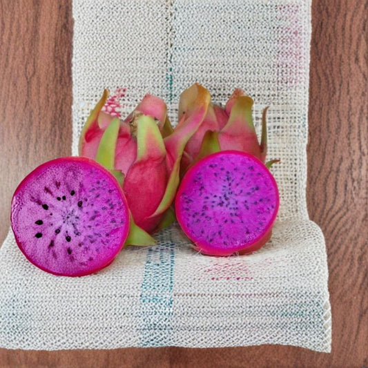 Halley’s Comet Dragon Fruit – 12”+ Live Cutting | Hylocereus Hybrid Starter Plant | Purple Flesh Pitaya | Fast Growing Climbing Cactus