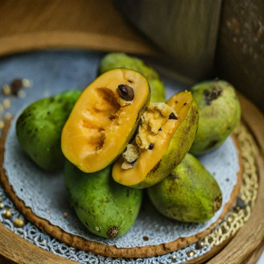 Pawpaw Tree Cuttings – Asimina triloba Unrooted (10 Pack) | Native Fruit Tree | 6–10 Inch Fresh Cuttings | Edible & Wildlife Plant