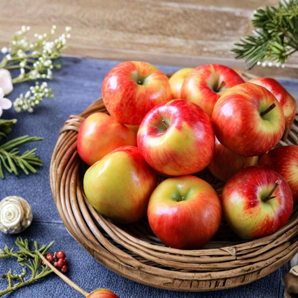 Honeycrisp Apple Tree – Malus pumila Live Fruiting Tree | 4–5 Feet Tall | Crisp Sweet Apple Variety | Backyard Orchard Fruit Tree