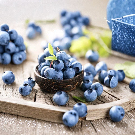 Blueberry Seeds – Highbush Berry Seeds | 100+ Seeds | Non-GMO Fruit Garden Starter | Grow Sweet Blueberries