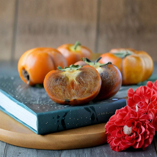 Maru Persimmon – Diospyros kaki Live Fruit Tree | 3–4 Feet Tall | Includes 3 Gallon Nursery Pot  Sweet Cinnamon Flesh | Self-Fruitful Variety | Low Chill Requirement