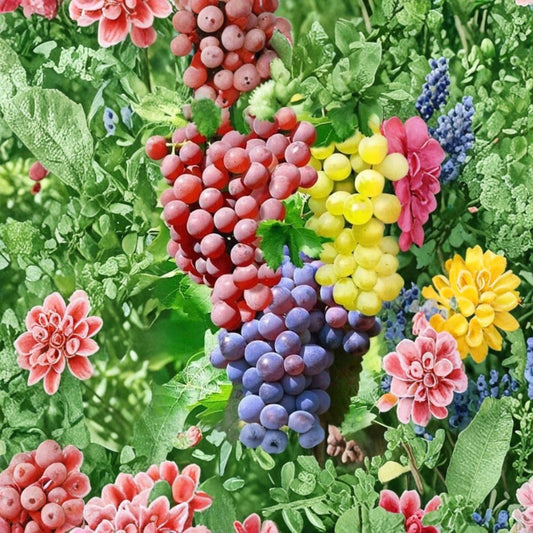 Mixed Grape Vine Cuttings – 15 Fresh Cuttings Pink Blue Yellow Varieties | GMO Free Fruit Vines | Hardy Garden Grapes | Easy to Grow