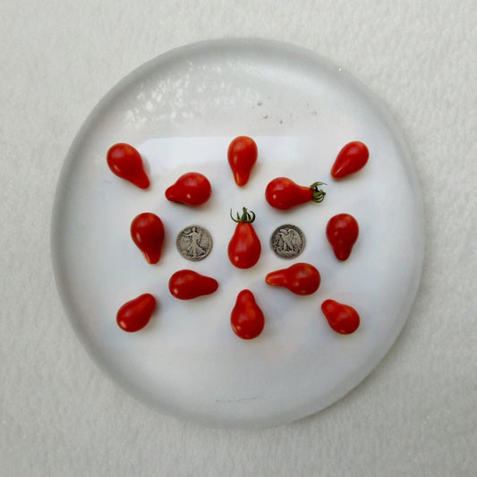 Pear Shaped Tomato Collection – Red, Yellow & Chocolate 3 Variety Pack | 30+ Seeds Each | Heirloom Mix  Colorful Cherry Tomato Trio | Sweet & Unique | High Yield