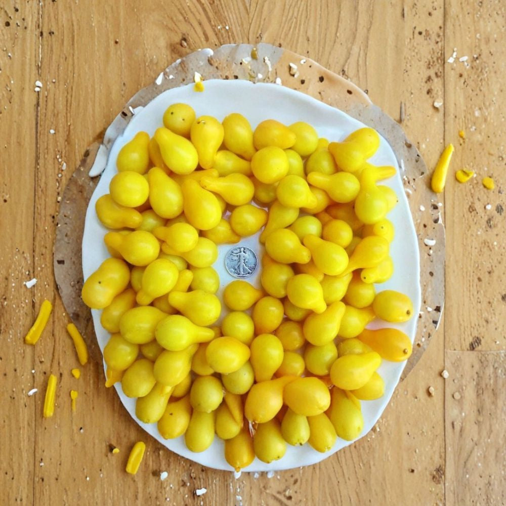 Yellow Pear Tomato – Heirloom Variety Vegetable Seeds | 30+ Count | Indeterminate  Sweet Salad Tomato | Heavy Producer | Classic 1700s Heirloom