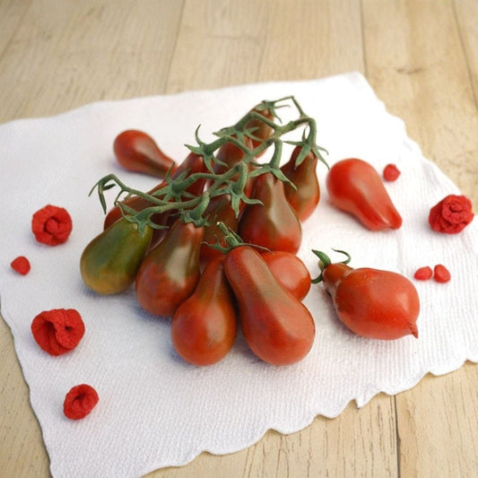 Chocolate Pear Tomato – Heirloom Variety 25 Seeds | Rare & Delicious | Indeterminate  Sweet Dark Cherry Tomato | Easy to Grow | Garden Favorite