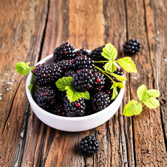 Triple Crown Thornless Blackberry – Live Plant in 3.25" Pot | Sweet Juicy Berry Variety | Easy to Grow Fruit Bush | High Yield Backyard Garden Plant