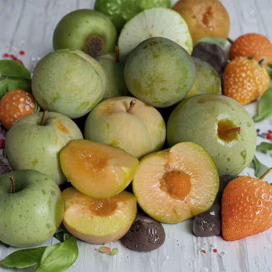 Emerald Pluot – 5 Scions/Cuttings 3–6 Inch | Plum Apricot Hybrid | Grafting Wood | Sweet Fruit Tree Variety