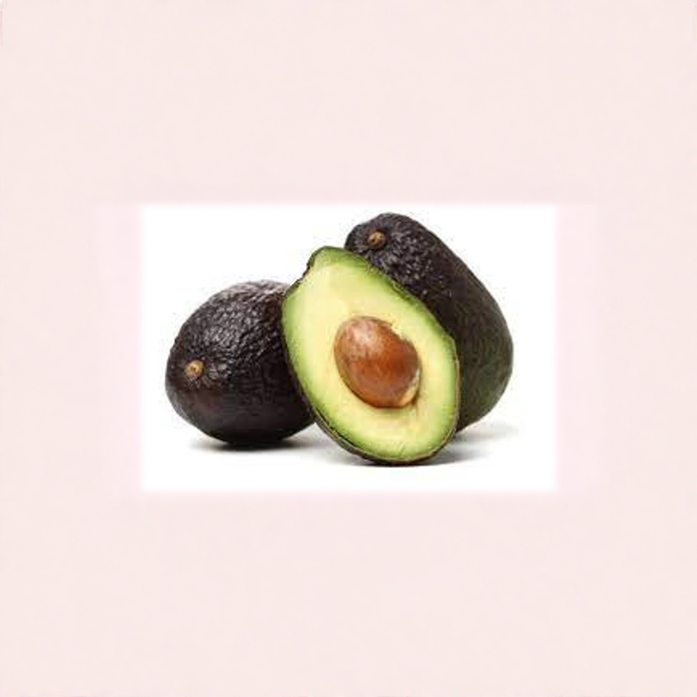 Lamb Hass Avocado Tree Grafted 3-4 Ft – Late Season Avocado Live Plant ...