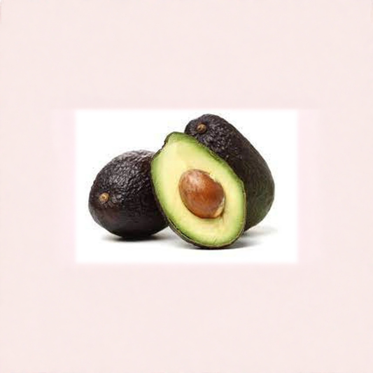 Lamb Hass Avocado Tree – Persea americana ‘Lamb Hass’ Grafted Live Tree | 3–4 Feet Tall | Bigger Trunk | Shipped in Nursery Pot  Late Season Hass-Type | Creamy Rich Flavor | Backyard Orchard Favorite