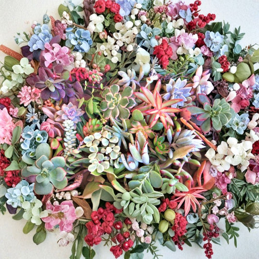 20 Succulent Cuttings – 20 Varieties Live Plants | 2–5 Inch Mixed Succulent Bundle | Assorted Rosettes for Crafts & Garden