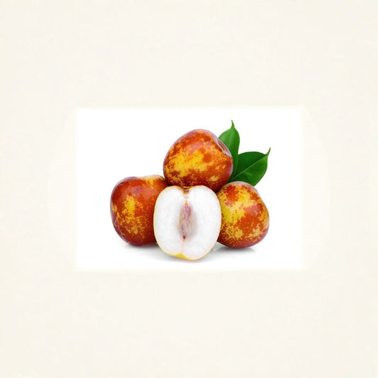 Shanxi Li Jujube – Ziziphus jujuba ‘Shanxi Li’ Live Fruit Tree | 4–5 Feet Tall | Bigger Trunk | Shipped in 3 Gallon Pot  Large Sweet Fruit | Cold Hardy | Easy to Grow