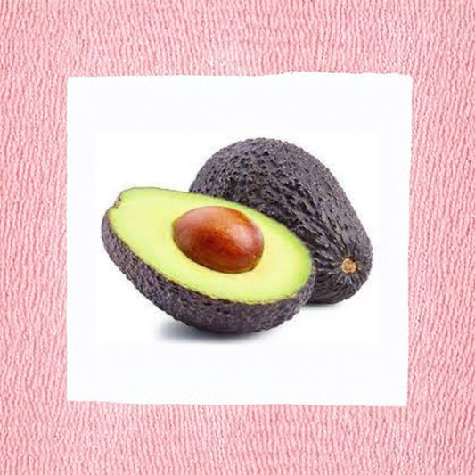 Jim Avocado Tree – Persea americana Grafted Tree | 1 Foot Tall | Shipped in Plastic Bag  Early Producing | Smooth Creamy Fruit | Tropical Backyard Favorite