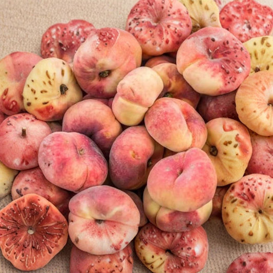 Peach ‘Donut’ – Prunus persica (Flat / Saucer Peach) Live Fruit Tree | 2–3 Feet Tall | Shipped in 3 Gallon Pot  Sweet White Flesh | Unique Flat Shape | Low Chill Variety
