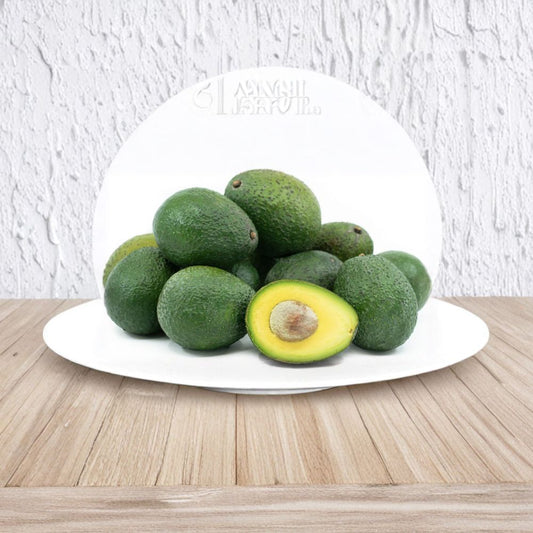Gwen Avocado Tree – Persea americana Live Grafted Tree | 1 Foot Tall | Shipped in Plastic Grow Bag  Compact Avocado Variety | Creamy Rich Flavor | Backyard & Patio Friendly
