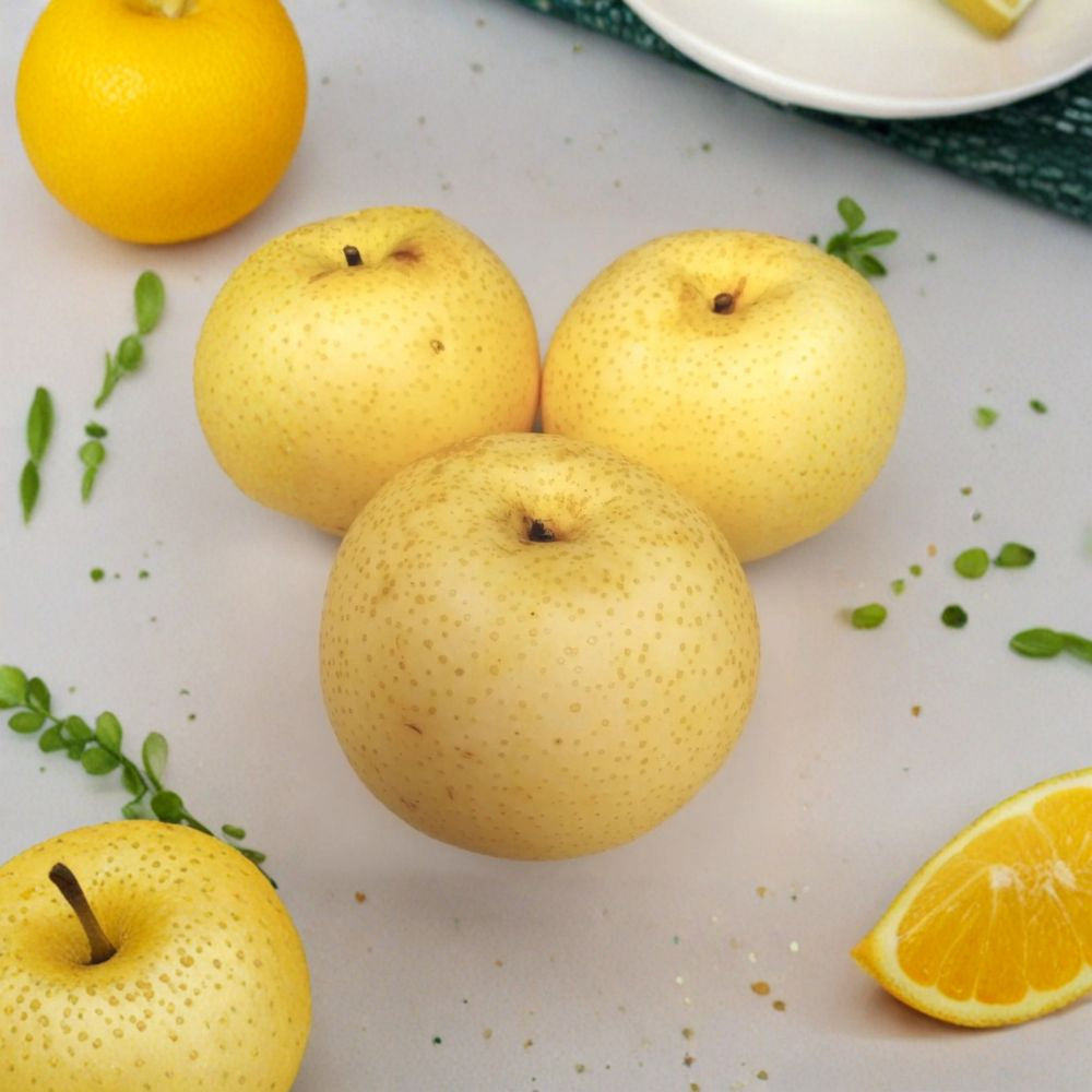 Asian Sand Pear – Pyrus pyrifolia (沙梨) Fruit Tree Seeds | 10 Count | Sweet & Crisp Variety  Edible Orchard Tree | Juicy White Flesh | Home Garden Favorite