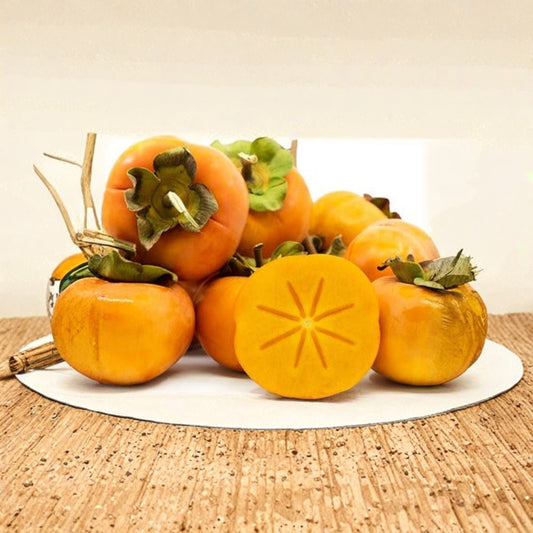 Fuyu Jiro Persimmon – Diospyros kaki Live Fruit Tree | 2 Feet Tall | Shipped in 1 Gallon Pot  Sweet Non-Astringent Variety | Crisp Fall Fruit | Backyard Orchard Favorite