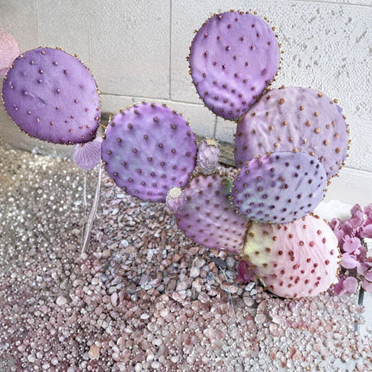 Purple Prickly Pear ‘Santa Rita’ – Opuntia Small Rooted Plant | Bare Root Shipping | Stunning Color  Cold Hardy Cactus | Purple Blue Pads | Collector Favorite
