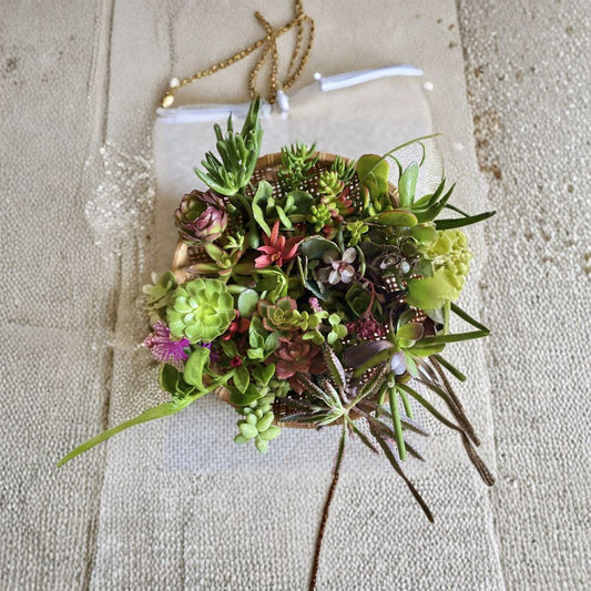 Organic Succulent Cuttings Mix – 12 Assorted Cuttings | 2–6 Inch Variety Pack | Pesticide-Free Succulents | DIY Decor & Wedding Favors | Easy to Grow
