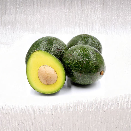 Reed Avocado Tree – Persea americana Live Grafted Tree | 1 Foot Tall | Shipped in 6 Inch Pot  Large Round Avocados | Rich Buttery Flavor | Summer Harvest Variety