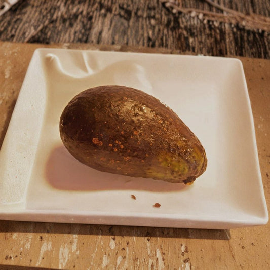 Sharwil Avocado Tree – Persea americana Live Grafted Tree | 1 Foot Tall | Shipped in Plastic Grow Bag  Premium Hawaiian Variety | Rich Buttery Flavor | High Oil Content
