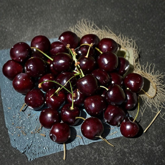 Cherry ‘Bing’ – Prunus avium Live Fruit Tree | 3–4 Feet Tall | Shipped in 3 Gallon Pot  Large Sweet Dark Cherries | Bigger Trunk Tree | Backyard Orchard Favorite
