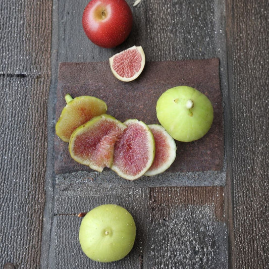 Brooklyn White Fig Cuttings – 2 Pack Ficus carica | Cold Hardy Sweet Fig Variety | Includes Willow Water Rooting Kit