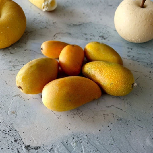 Lemon Zest Mango Tree – Mangifera indica Grafted Tree | 1 Foot Tall | Includes 6 Inch Nursery Pot  Sweet Citrus Flavor | Premium Mango Variety | Early Producing