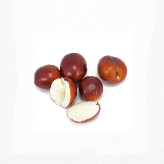 Jujube ‘Li’ – Ziziphus jujuba Live Grafted Tree | 2–3 Feet Tall | Shipped in 3 Gallon Pot  Very Large Sweet Fruit | Cold Hardy Variety | Backyard Orchard Favorite