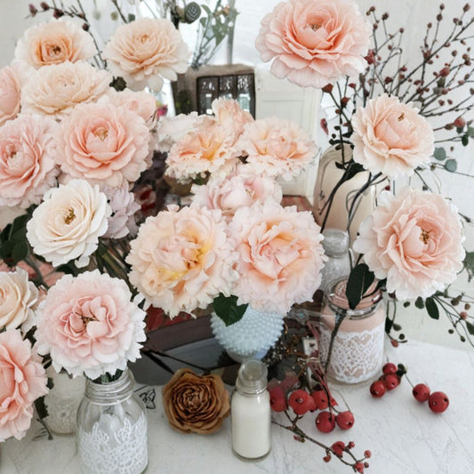 Polka Climbing Rose Cuttings – 3 Fresh Apricot Rose Cuttings | Live Unrooted Climbing Rose | Romantic Garden Flower | Easy to Grow