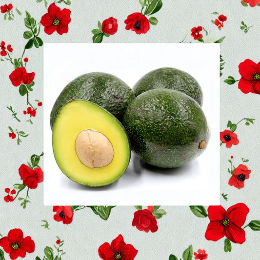 Reed Avocado Tree – Persea americana ‘Reed’ Grafted Live Tree | 3–4 Feet Tall | Thick Trunk | Shipped in Nursery Pot  Premium Avocado Variety | Large Creamy Fruit | Backyard Orchard Ready