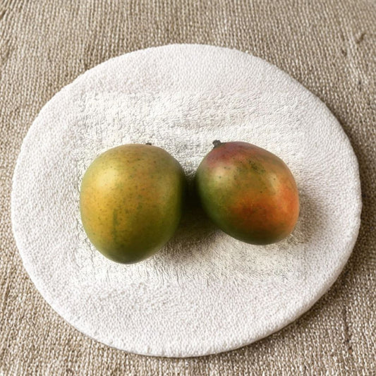 Sugar Loaf Mango Tree – Mangifera indica Live Grafted Tree | 1 Foot Tall | Ships in 6 Inch Pot  Coconut Sweet Flavor | Pineapple Notes | Rare Tropical Mango