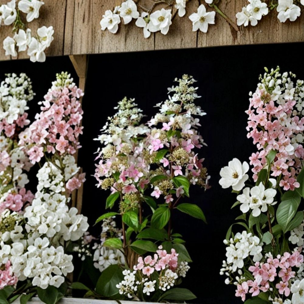 Hydrangea paniculata ‘Confetti’ – Live Starter Plant | 6–9 Inches Tall | Includes Nursery Pot White & Pink Blooms | Compact Shrub | Summer to Fall Color