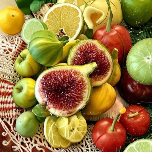 Panache Tiger Fig – Ficus carica ‘Panache’ Live Fig Tree | 2–3 Feet Tall | Includes 3 Gallon Pot  Green & Yellow Striped Fruit | Strawberry Red Flesh | Extremely Sweet